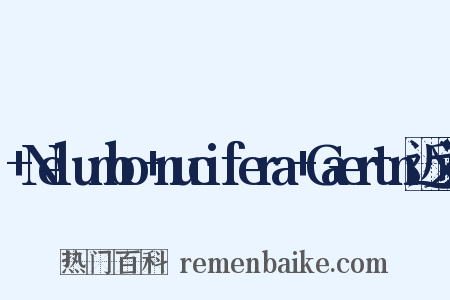 +Nelumbo+nucifera+Gaertn近义词是什么意思的图片